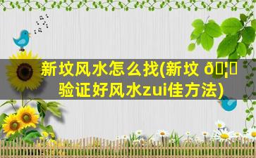 新坟风水怎么找(新坟 🦊 验证好风水zui
佳方法)